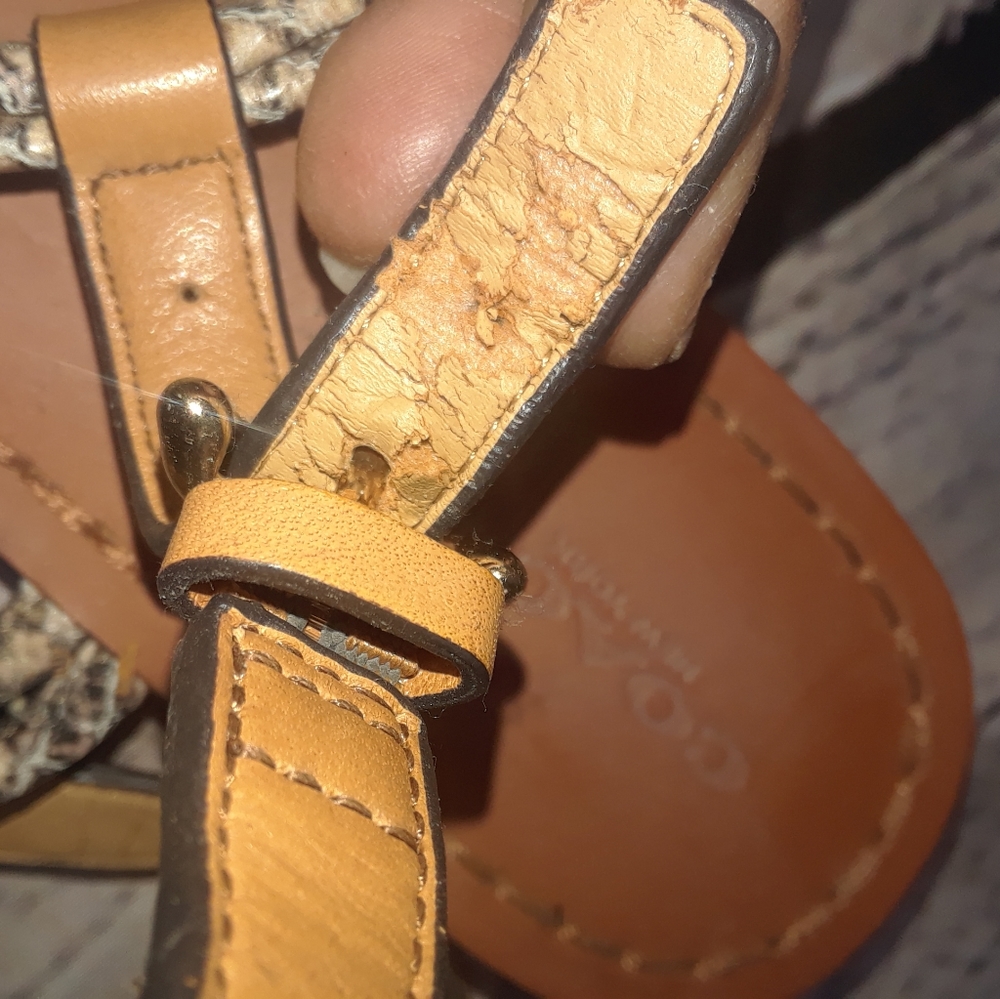 Coach sandals - Picture 5 of 8
